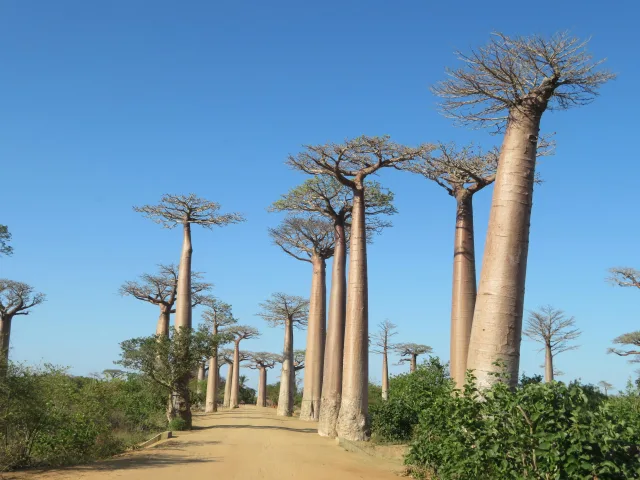 Madagascar — guide de voyage