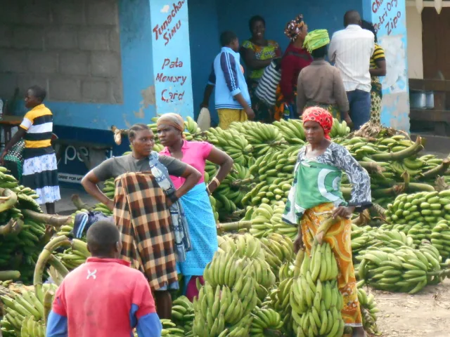 Malawi — budget