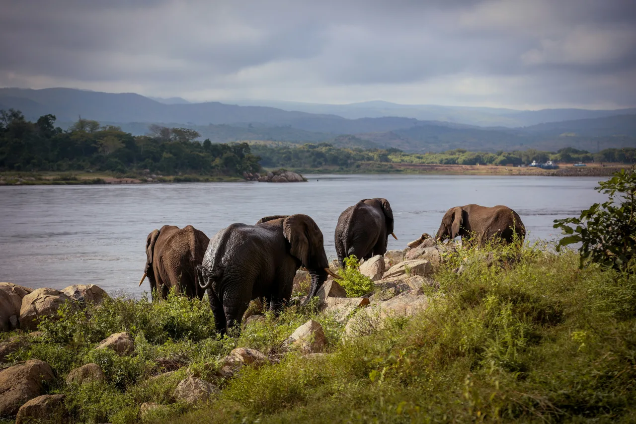 Malawi — /malawi/safari/