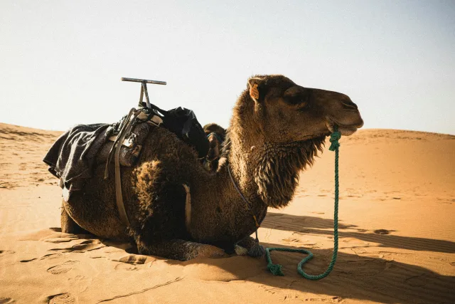 Maroc — itineraire
