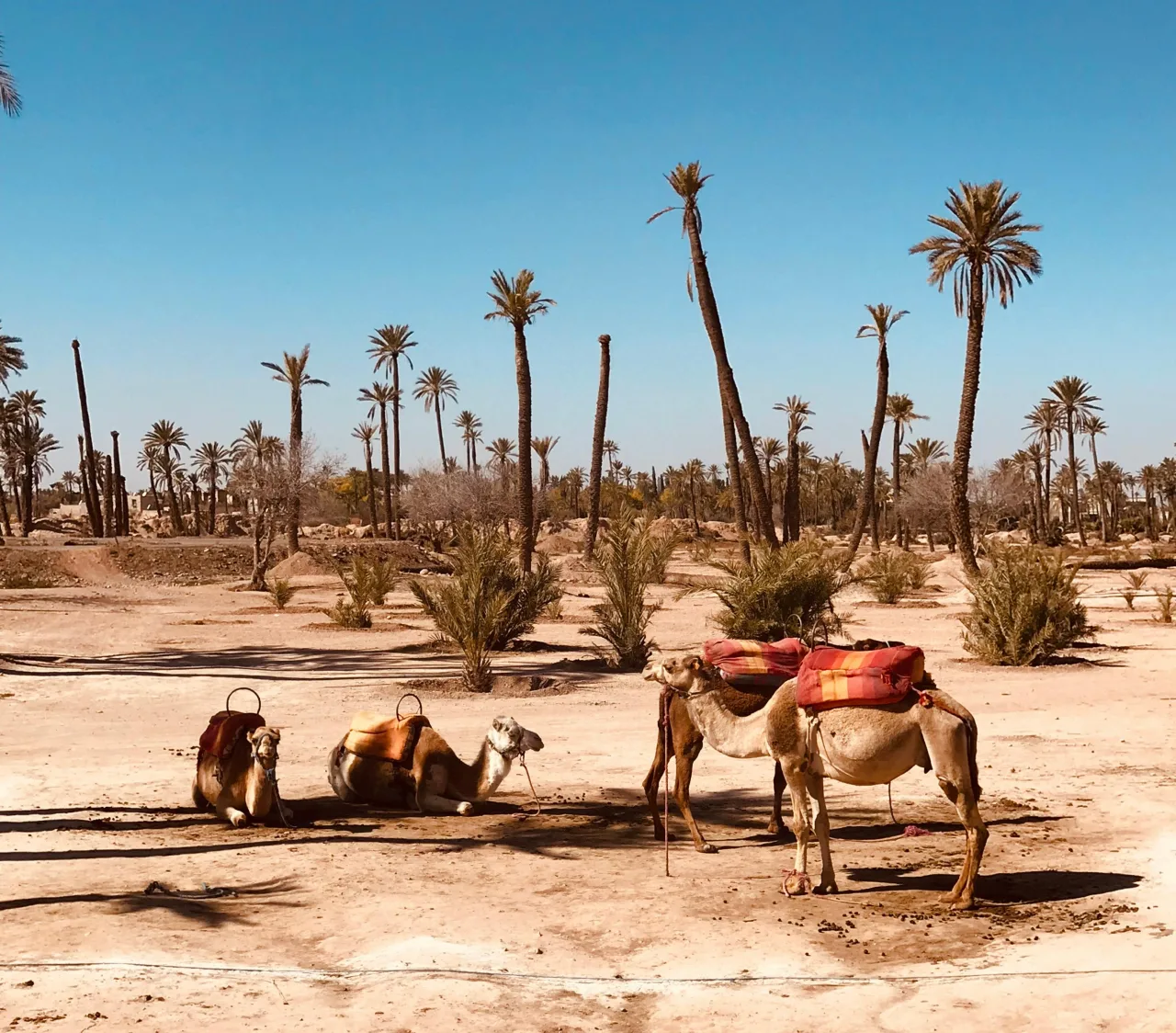 Maroc — guide de voyage