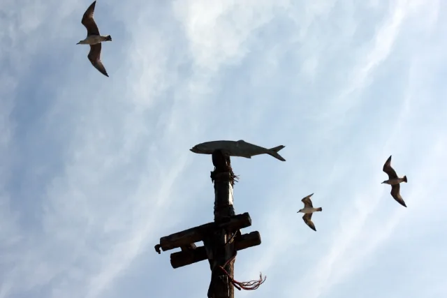 Oiseaux survolant une structure en bois au Maroc sous un ciel nuageux