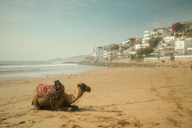 Maroc — profil voyageur