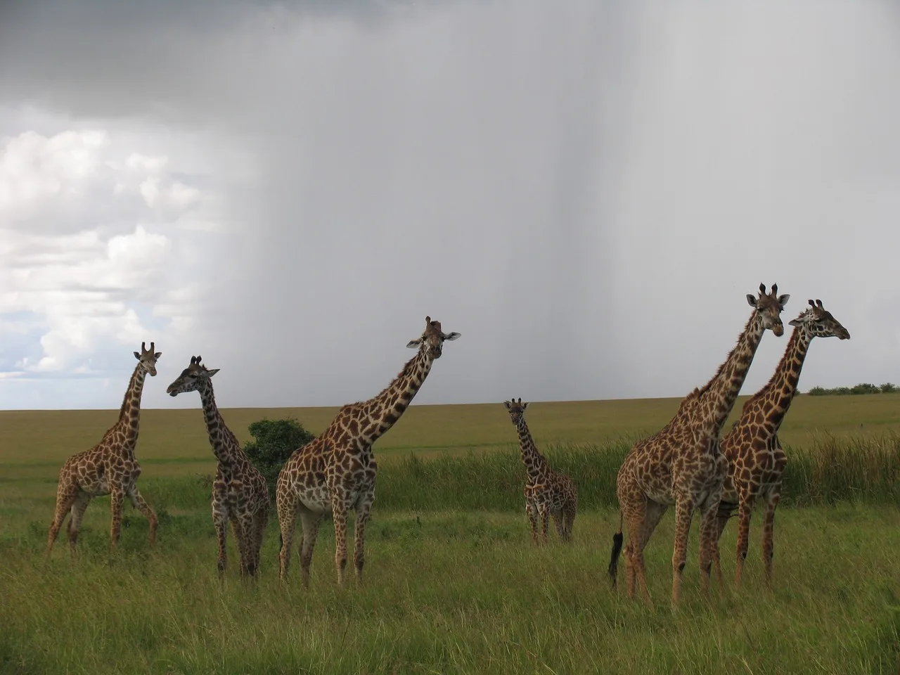 Maasai Mara — ou dormir