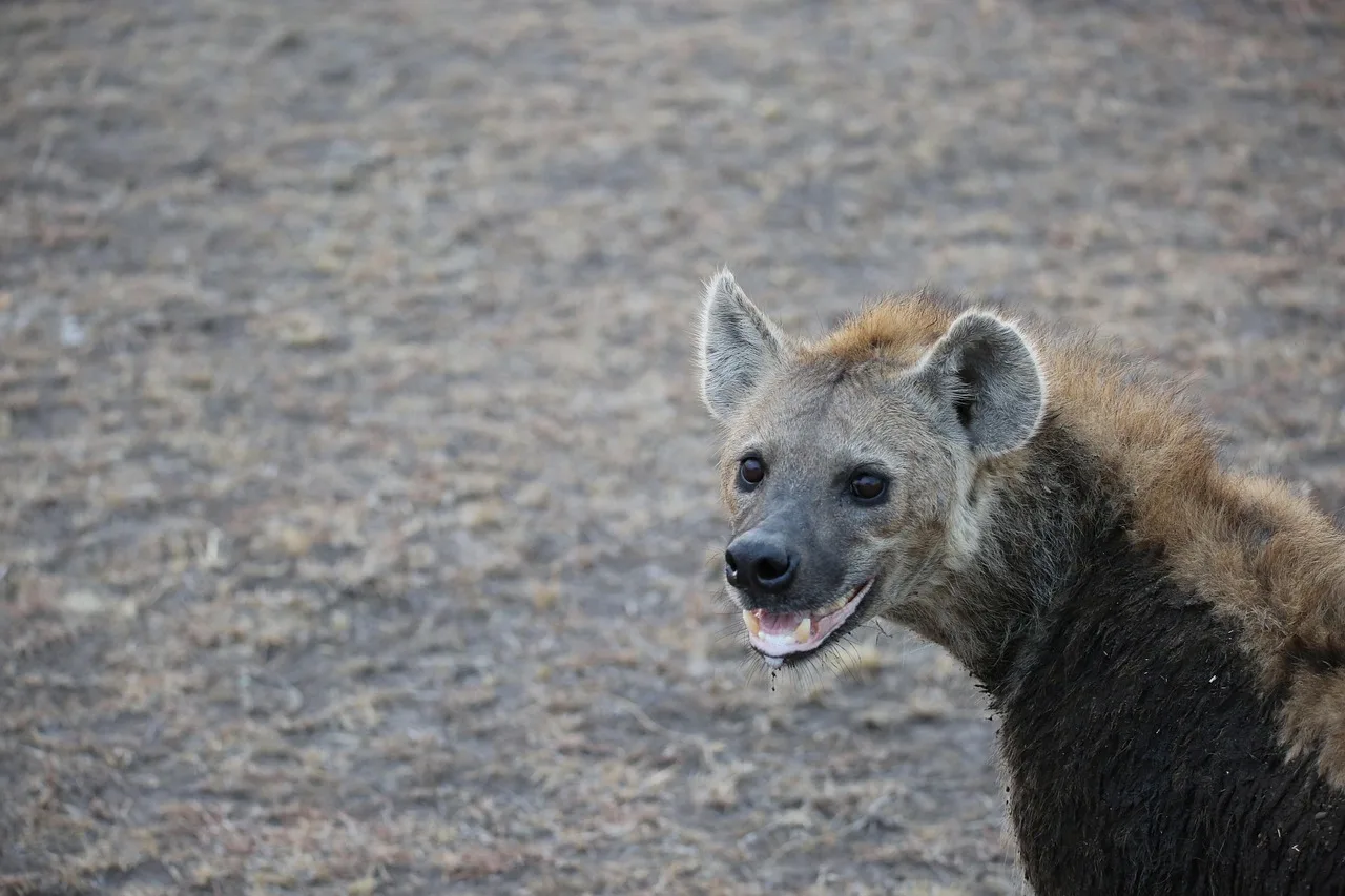 Maasai Mara — que voir