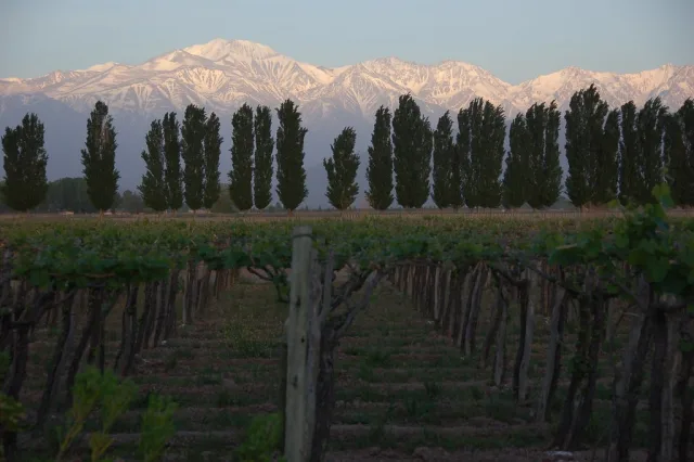 Mendoza — hub principal region