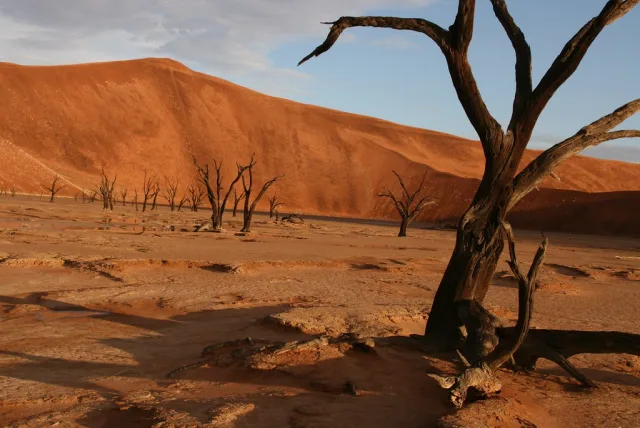 Namibie — hub principal pays