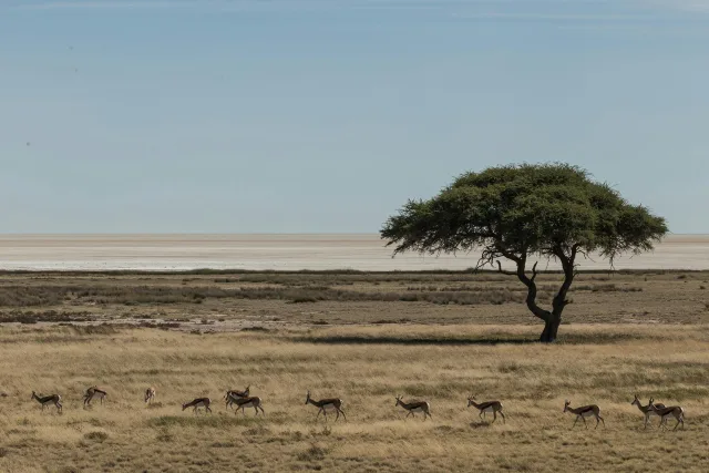 Namibie — itineraire