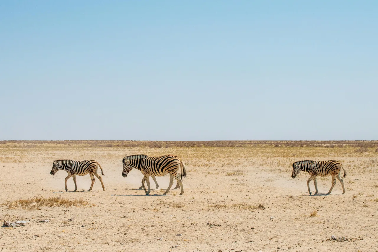 Namibie — guide de voyage