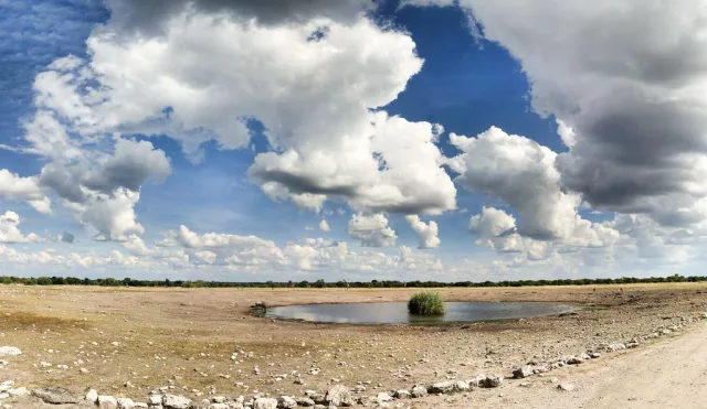 Namibie — parcs nationaux