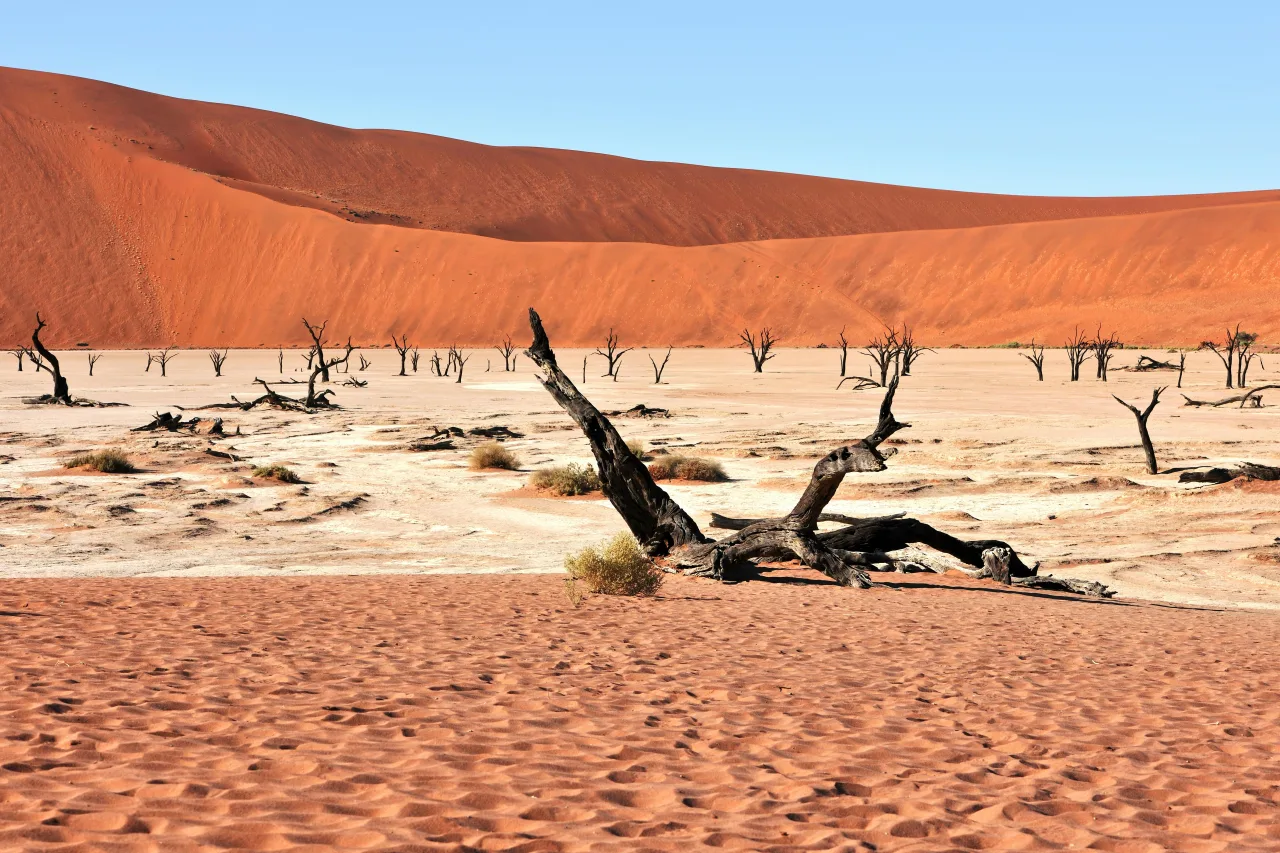 Namibie — profil voyageur