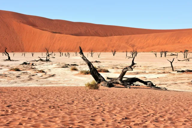 Namibie — profil voyageur