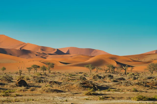 Namibie — profil voyageur