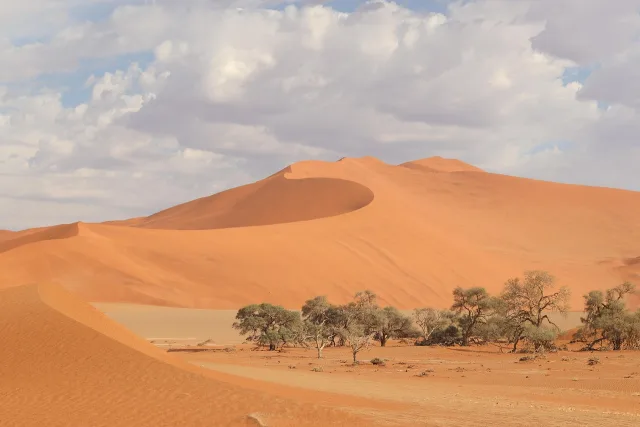 Namibie — quand partir