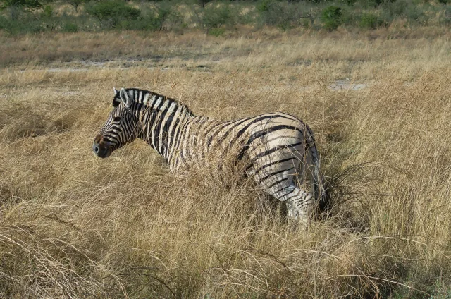 Namibie — top activites