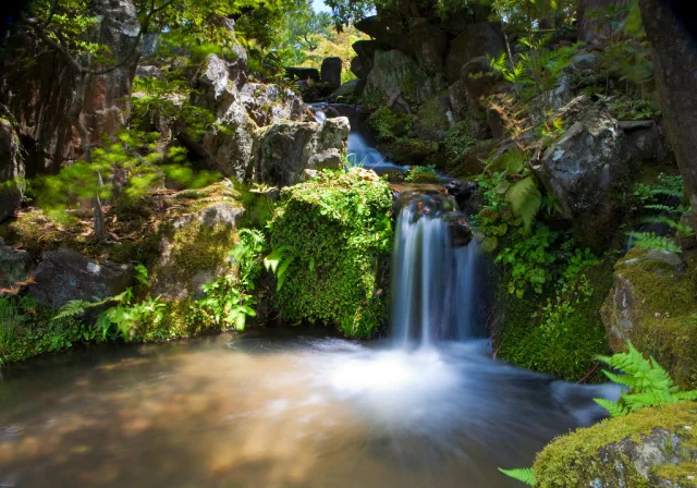 Petite cascade dans une gorge rocheuse entourée de mousse et de végétation luxuriante
