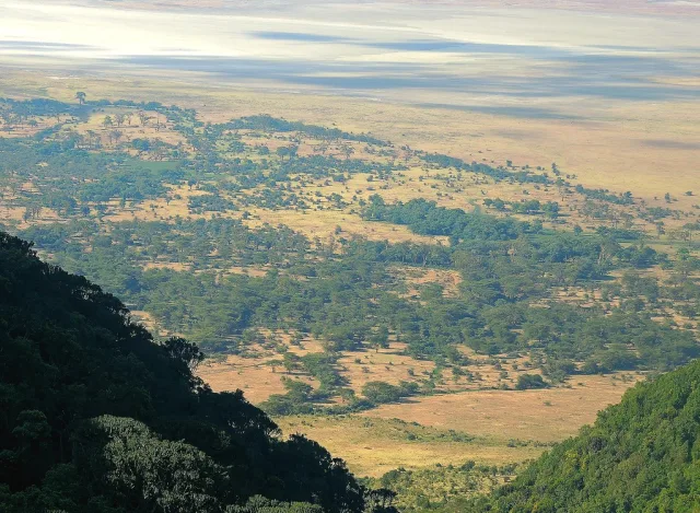 Ngorongoro — hub principal region