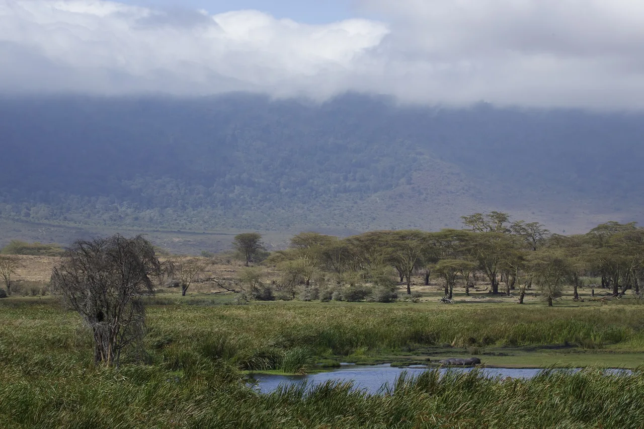 Ngorongoro — guide de voyage