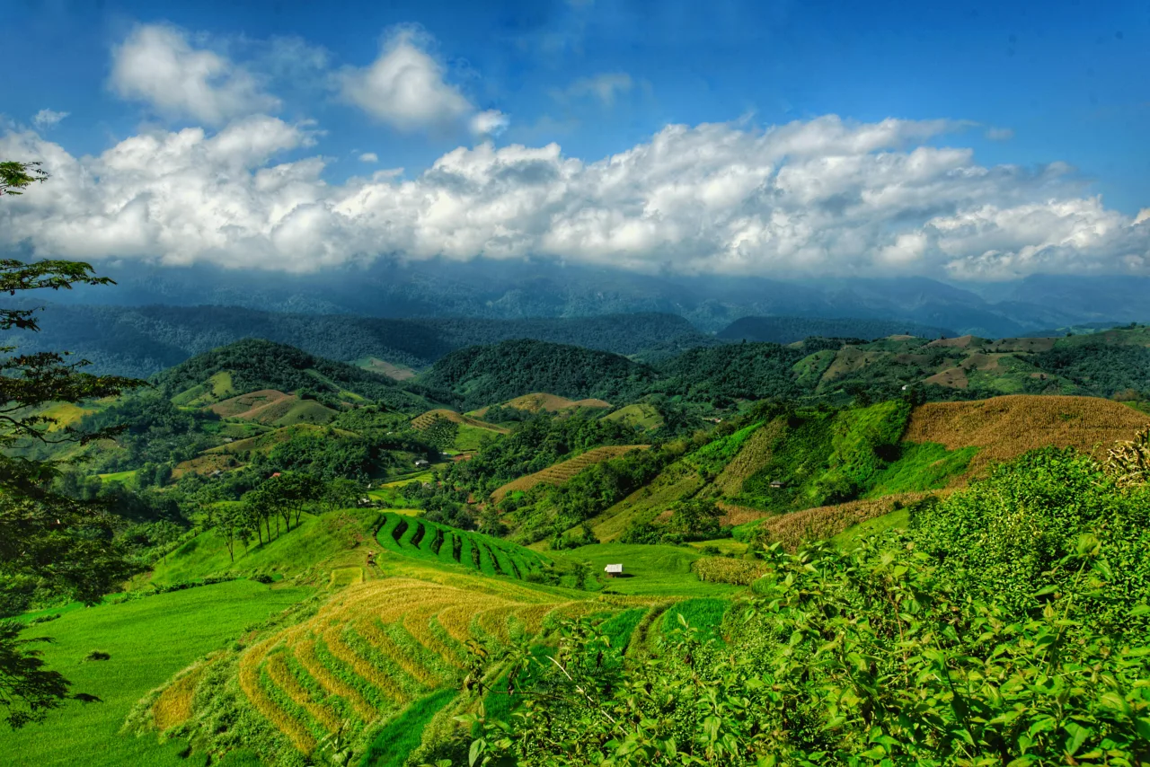 Nord de la Thaïlande — guide de voyage