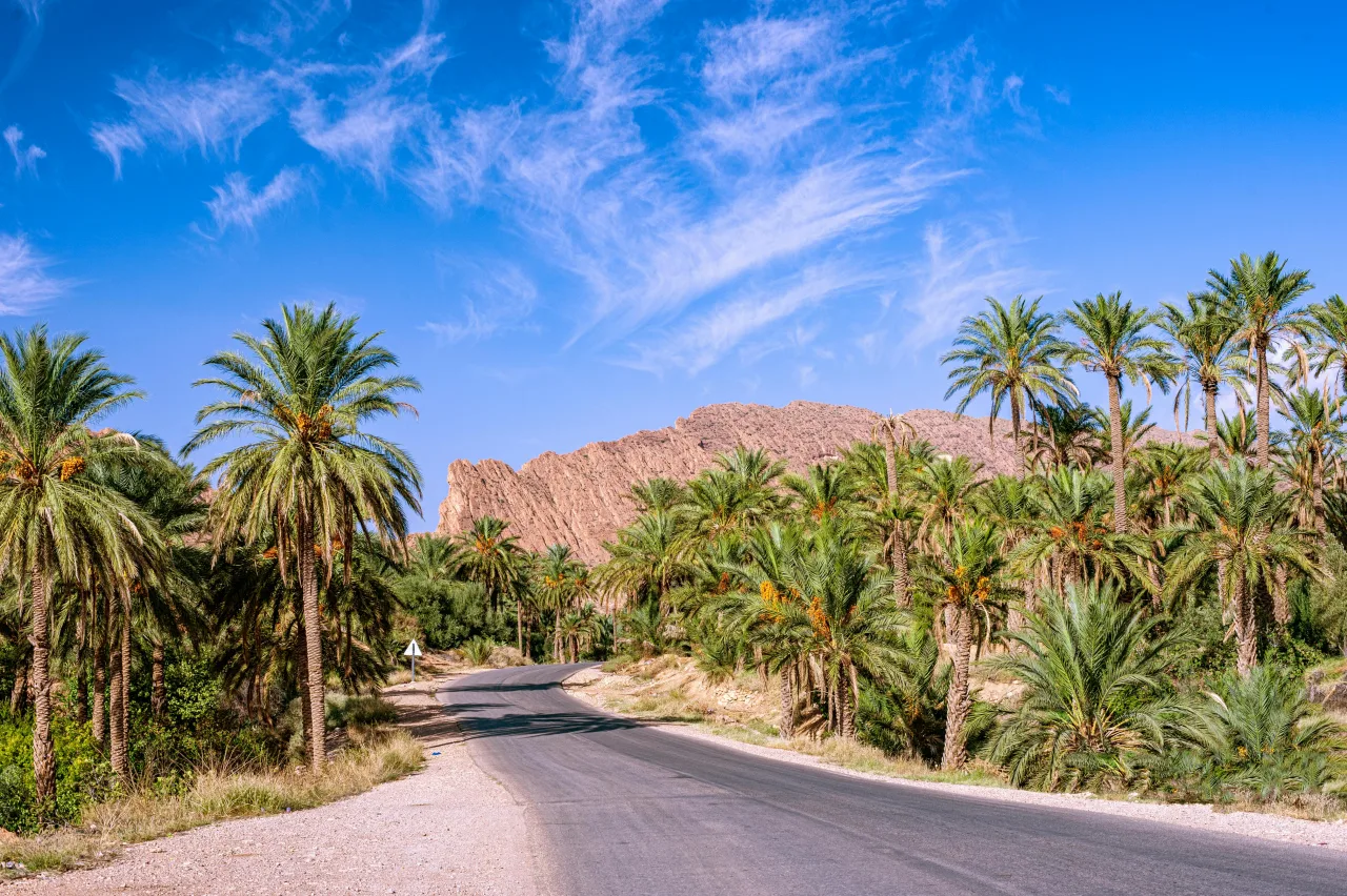 Circuit des Oasis — guide de voyage
