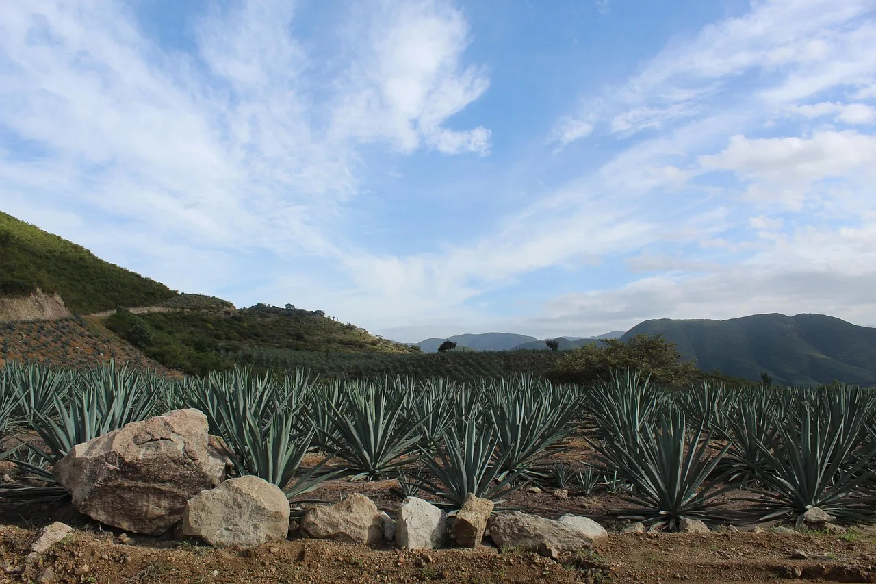 Oaxaca — que voir