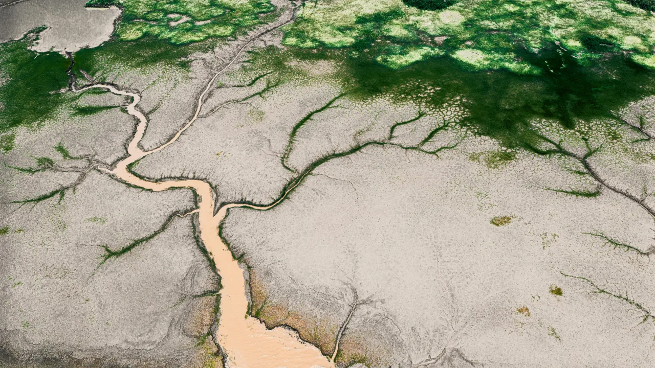 Delta de l'Okavango — guide de voyage