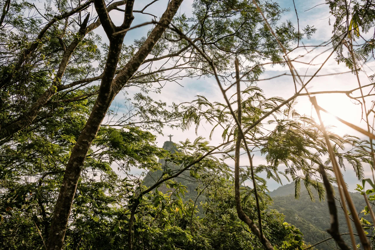 Parc de Corcovado — guide de voyage