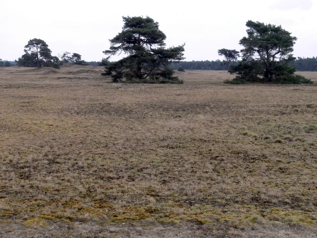 Pays-Bas — parcs nationaux