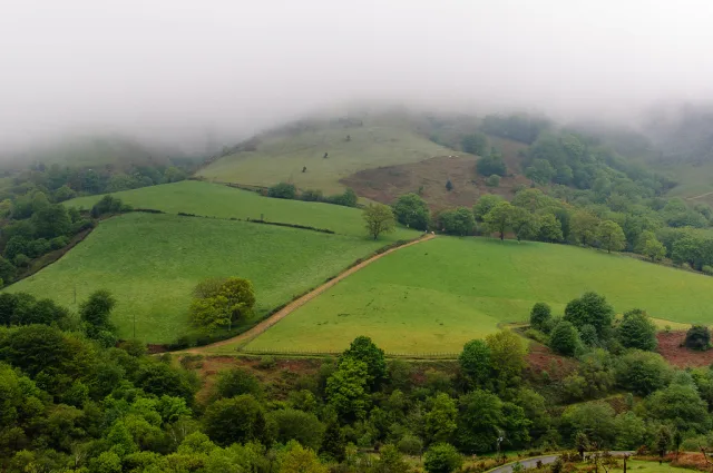 Pays Basque — hub principal region