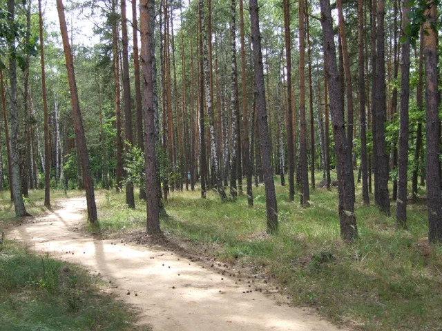 Pologne — quand partir
