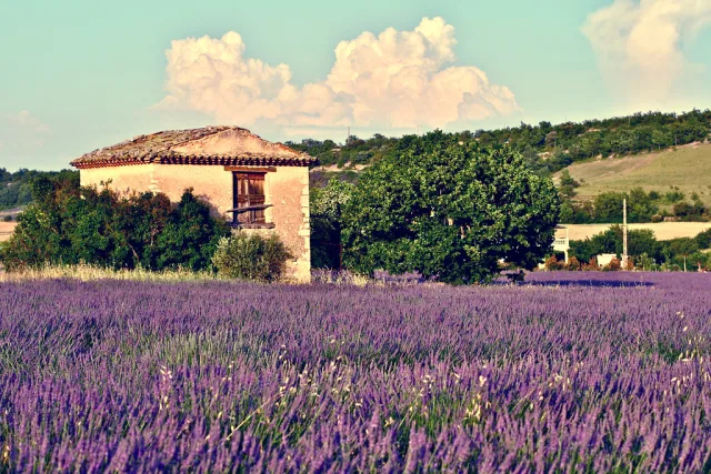 Provence — hub principal region