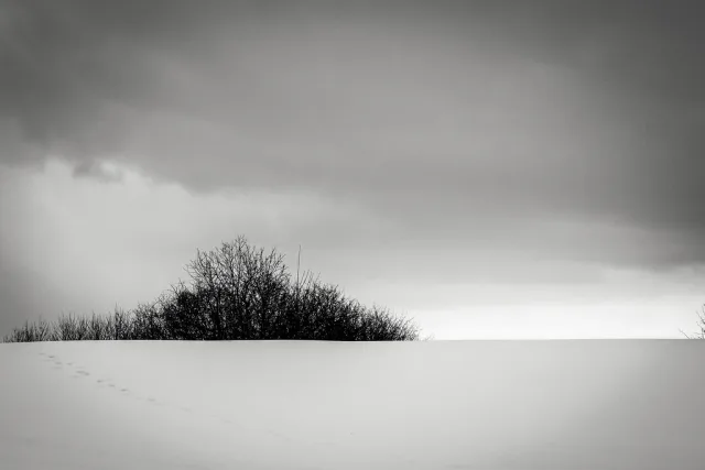 Québec landscape