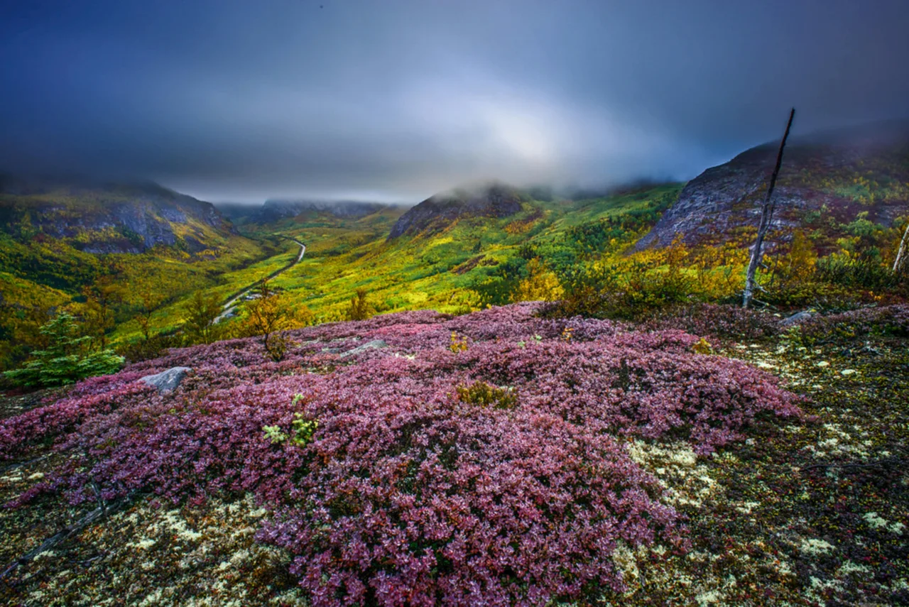 Route des Jardins — guide de voyage
