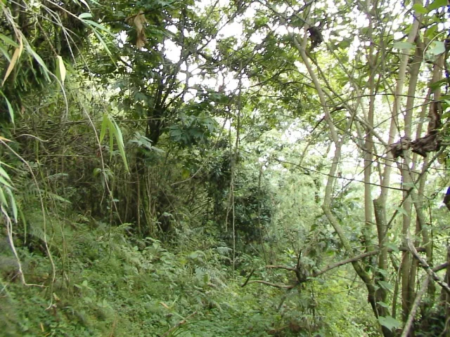 Rwanda — quand partir