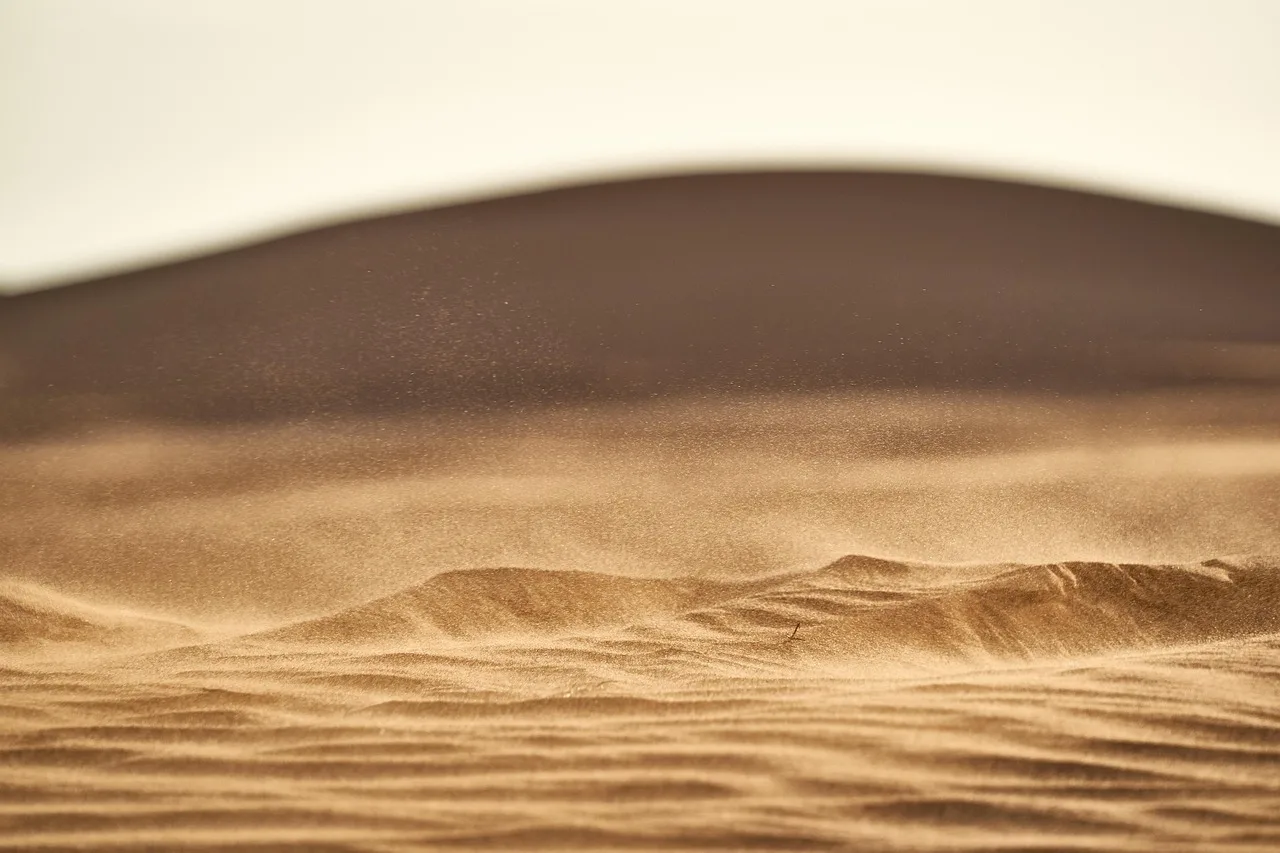 Désert du Sahara — hub principal region