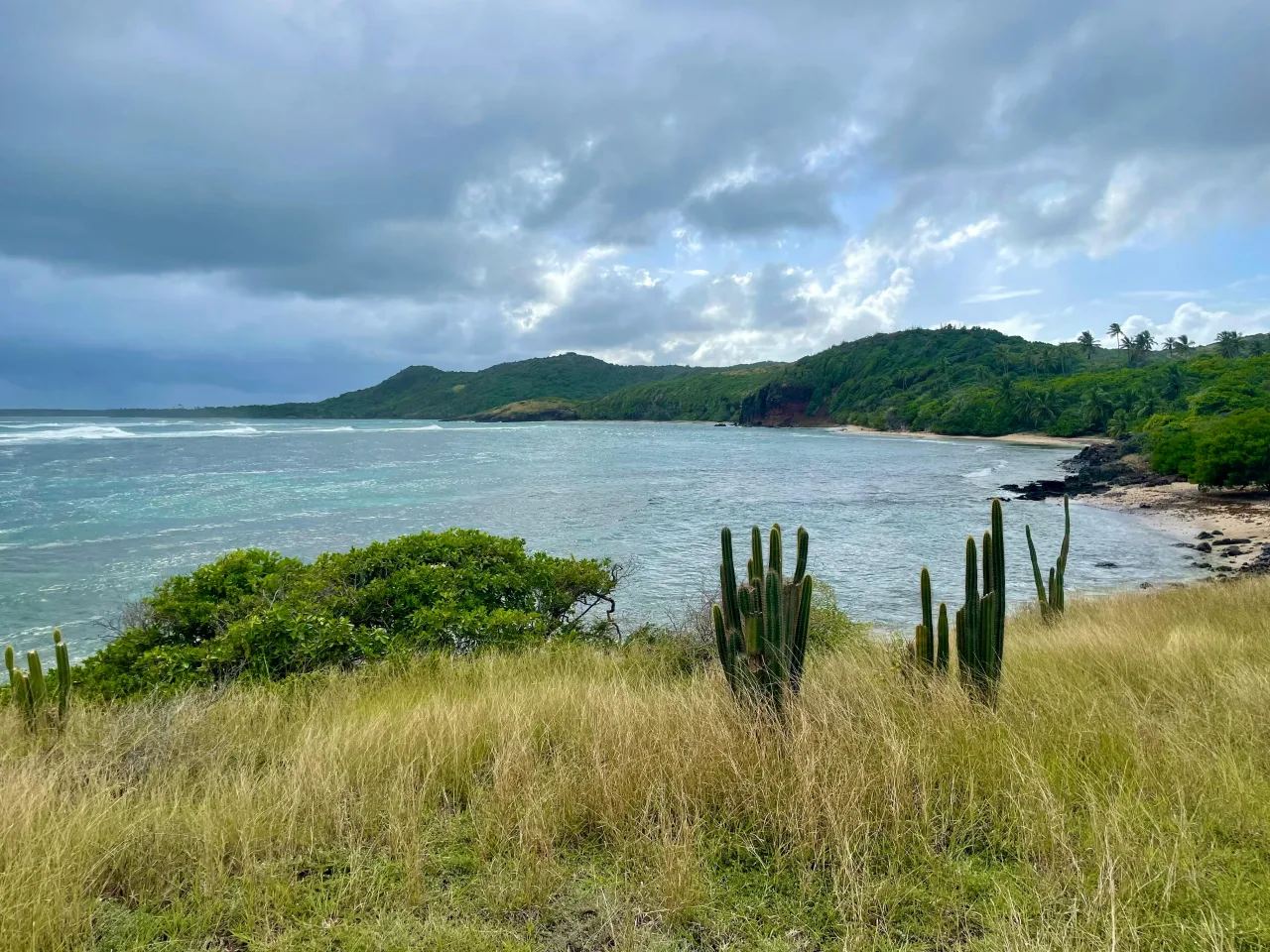 Saint-Vincent-et-les-Grenadines — hub principal pays