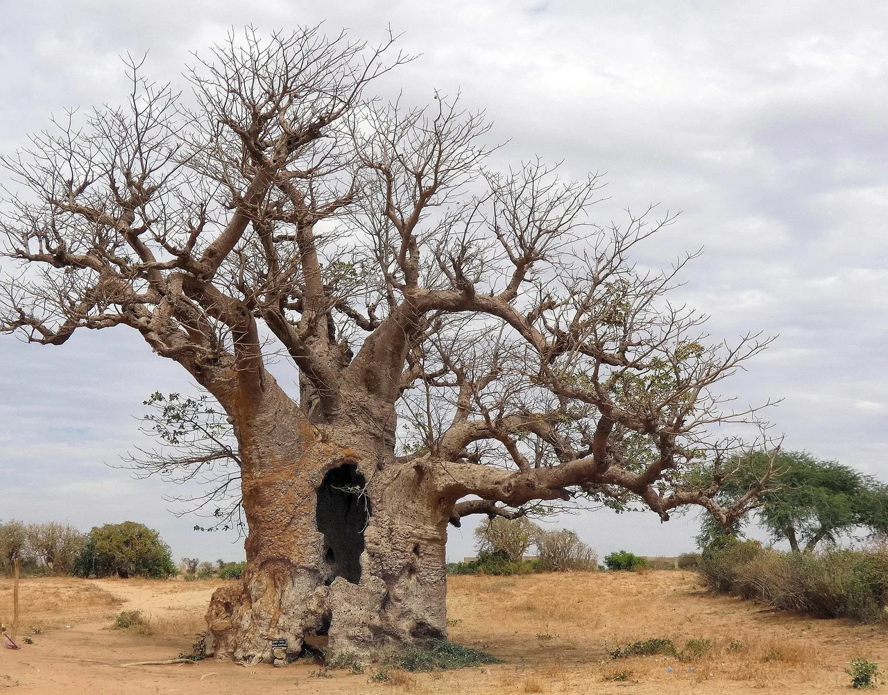 Sénégal — quand partir