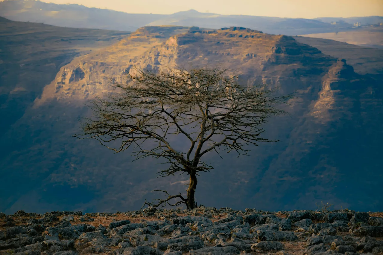 Monts Simien — guide de voyage