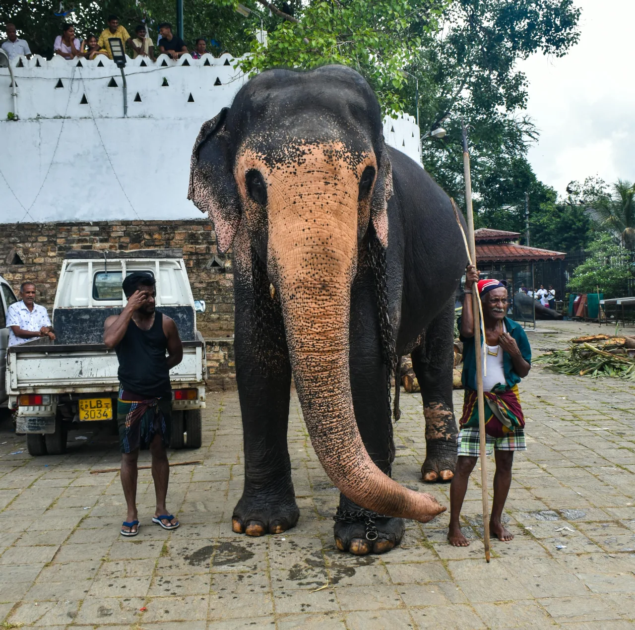 Sri Lanka — guide de voyage