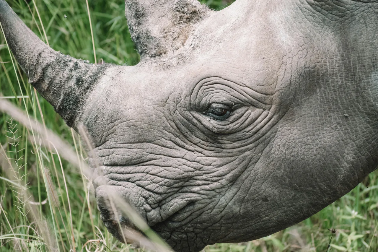 Tanzanie — itineraire 7 jours