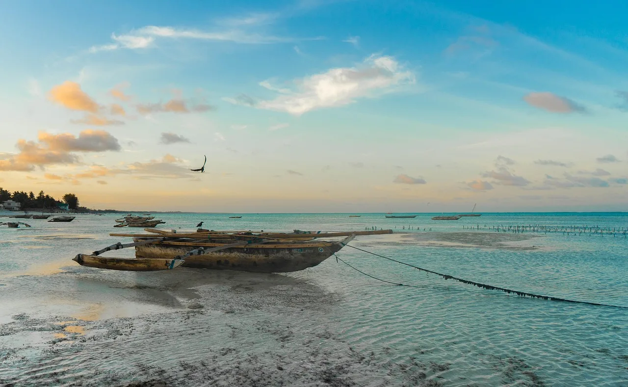 Tanzanie — plages