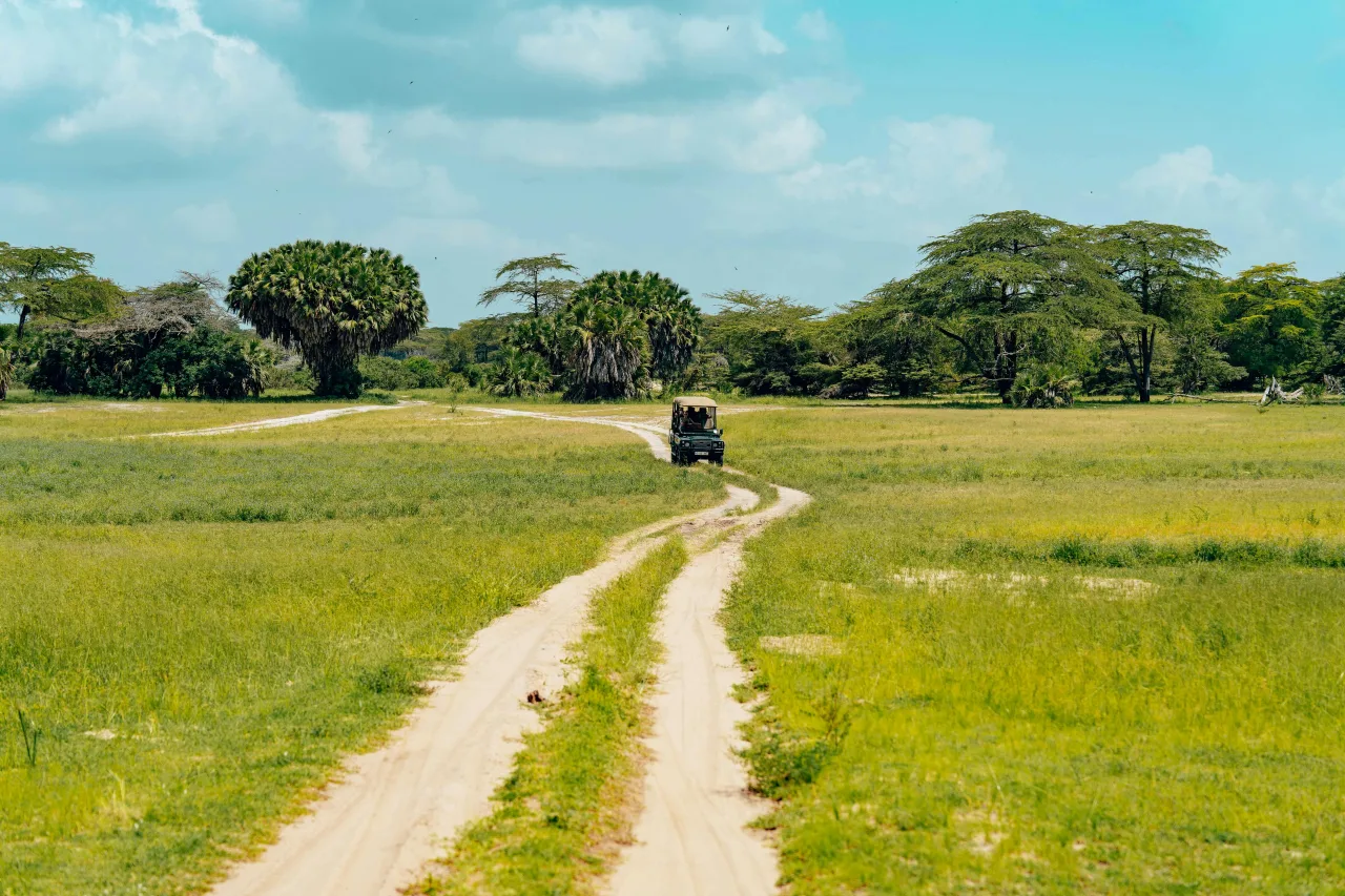 Tanzanie — plats