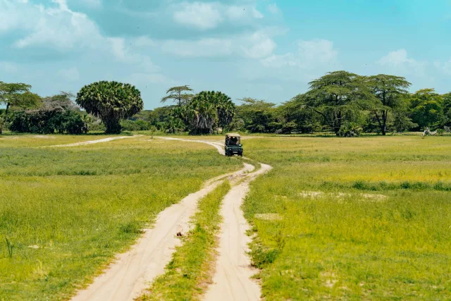 Tanzanie — plats
