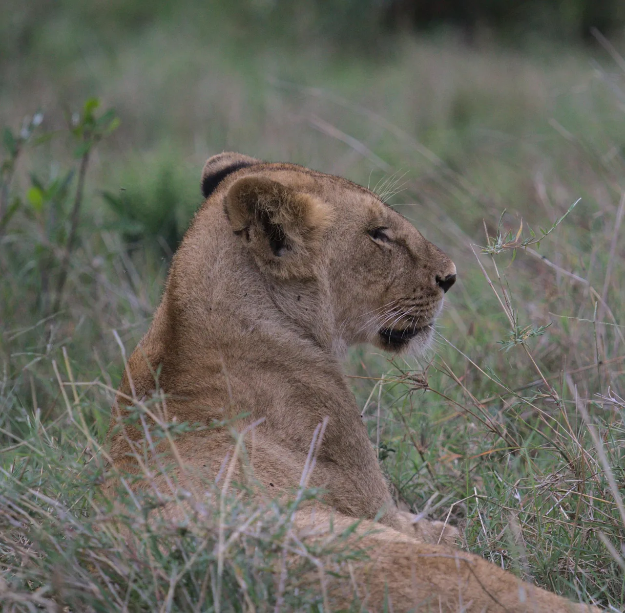 Tanzanie — profil voyageur