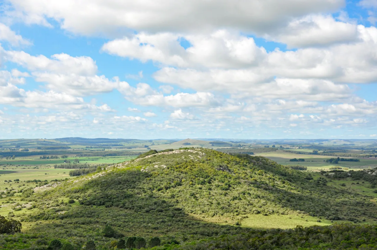 Tasmanie — hub principal region
