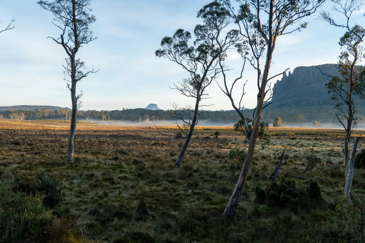 Tasmanie — guide de voyage