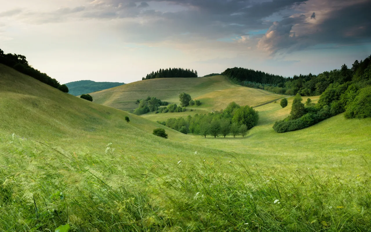 Ténérife landscape