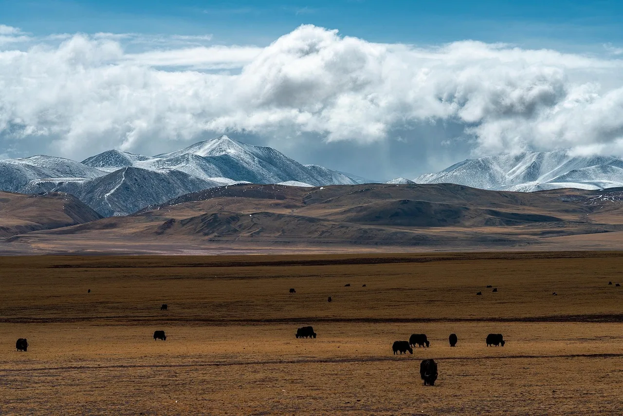 Tibet — comment y aller