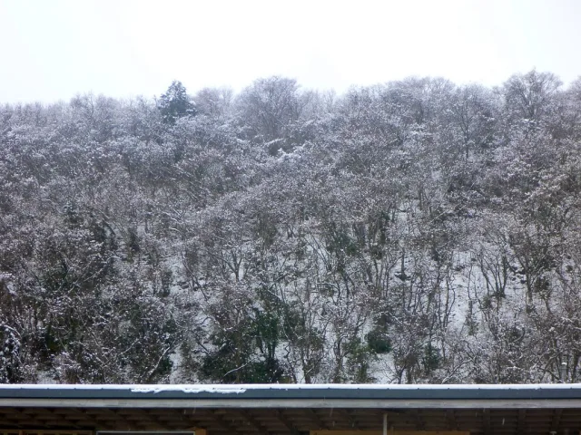 Tohoku — hub principal region