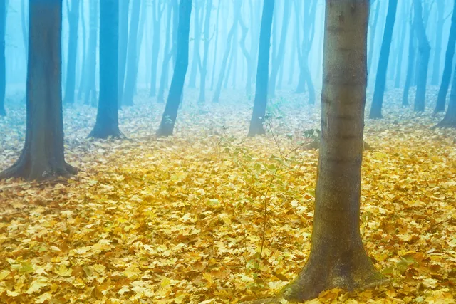 Ukraine — quand partir